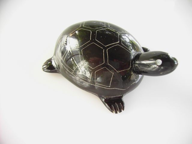 Small tortoise (model 1)